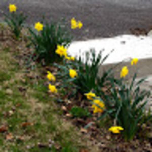 Meet your Posher, Nora